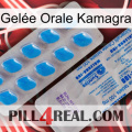 Gelée Orale Kamagra new15